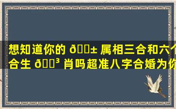 想知道你的 🐱 属相三合和六个合生 🐳 肖吗超准八字合婚为你解答！